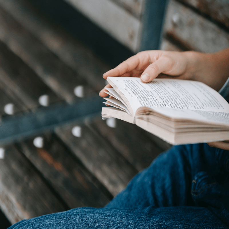 blogartikel-in_der_natur_lesen_gibt_kraft